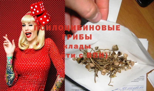 Альфа ПВП Зеленодольск