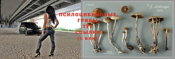 apvp Зеленокумск