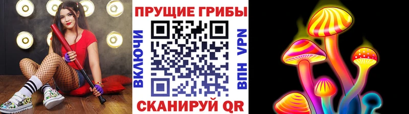 купить наркотики сайты  Ртищево  Псилоцибиновые грибы Magic Shrooms 